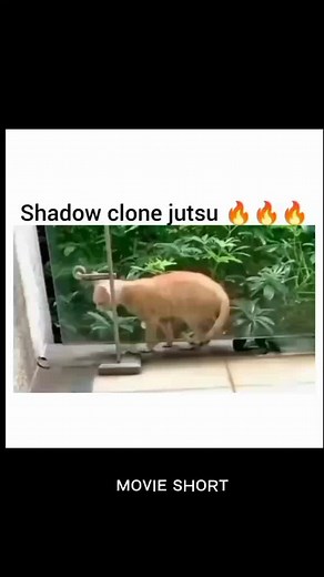 Real Multi Shadow Clone Jutsu Revealed in Movie Short
