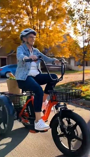 Eskute T300 Folding Electric Trike Vertical Screen E-Bike