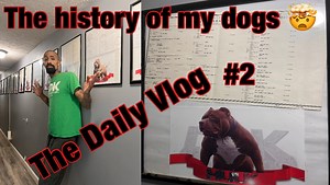 Let me explain my dogs history! The family tree... todays vlog goes a bit into the pedigree of some of my famous dogs #love #dog #vlog #family #history #ddk9 | DarkDynastyK9s