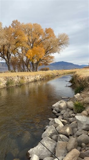 Fred A. Rowe on Instagram: "Bishop Creek Canal recently got dredged. It will take at least a couple of weeks for the canal and trout to stabilize. In the meantime fish with size 20 Adams parachutes and size 20 blue wing olive parachutes on the surface if there is a hatch. On the substrate fish with size 18 bead head flash back pheasant tail nymphs, size 18 olive quilldigons, size 18 green/gold brassies and midges in size 18 in tiger and zebra coloration."