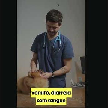 Saúde Canina: Hipersensibilidade Intestinal e Estresse #cachorro #gatos