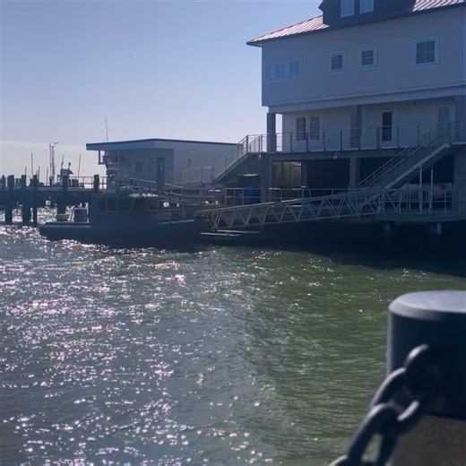 Masiela Lusha on Reels