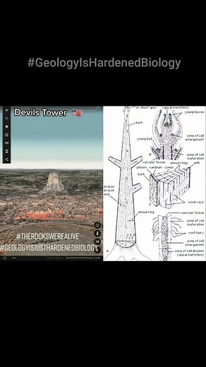 - Devils Tower 🇺🇸 | Sib Sibby