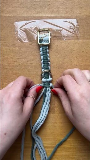 How to DIY a cute dog collar for your furry friend