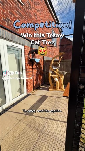 18K views · 193 reactions |  Win this AMAZING Outdoor Cat Tree! ✨...