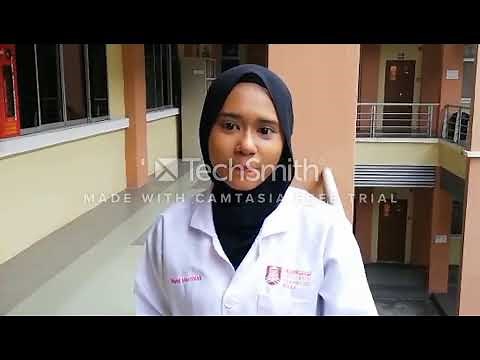 Insulin Production By Recombinant E. coli