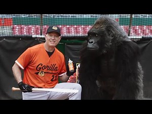 Gorilla Glue Commercial #2 (2025)