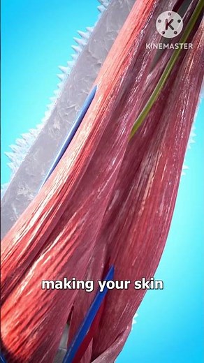 What Happens If You Fall Into LIQUID NITROGEN?