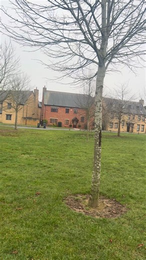 Noufz Global Matrix on Reels