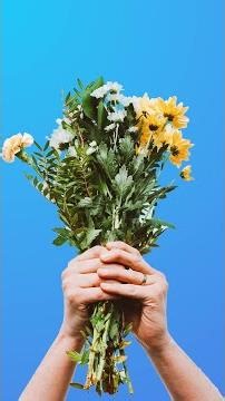 USDA Inverted Pyramid