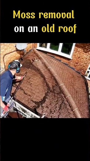 Moss removal on an old roof #howto #DIY #nature #adventure #harvest #outdoors #craft #outdoorliving