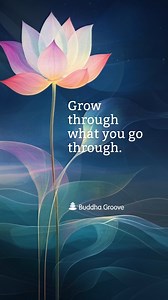 ✨ Grow through what you go through— not by surviving it, but by becoming a little wiser, a little calmer, and a little more you. | Buddha Groove