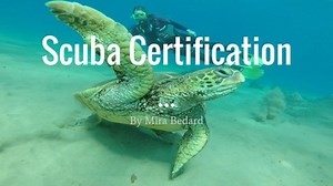 Scuba Certification
