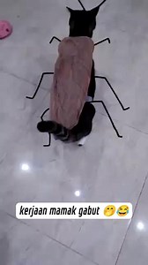 Waduh ada kecoa raksasa gaess #fyp | Pak Haji Oyen