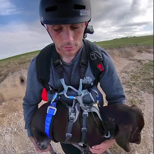 13K views · 121 reactions | A dog cooler, and much braver than most people!  | Metro | Facebook