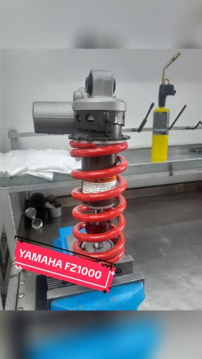 Reparación de Amortiguadores para Yamaha FZ1000
