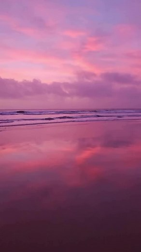 Port Macquarie on TikTok