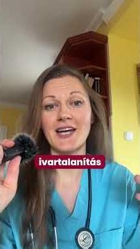 3 tévhit az ivartalanításról
