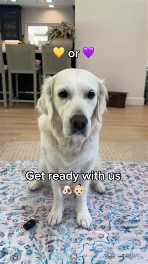 Lady vs Olivia: Who Wore It Better?