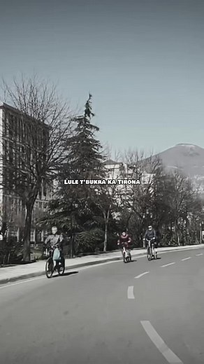 Merita Halili - Lule t’bukra ka Tirona
