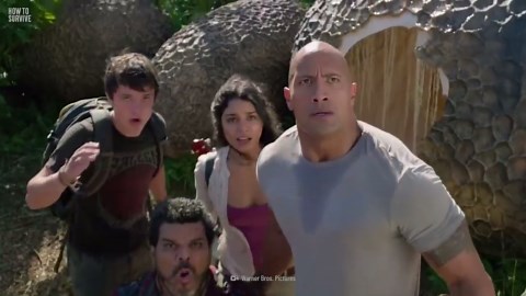 Surviving a dinosaur attack: your plan