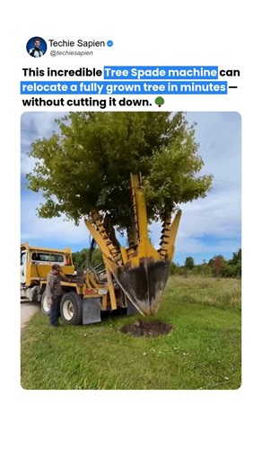 Techie Sapien - AI | Robotics | Next-gen Tech on Instagram: "This Machine Relocates Full-Grown Trees Without Cutting Them 🌳🤯 🌱 No cutting, just pure engineering genius! This powerful Tree Spade Machine can relocate a fully grown tree — roots and all — within minutes! 💪 It’s the future of eco-friendly construction, road expansion, and reforestation 🌍. In this video: 🌿 How the Tree Transplanting Machine works ⚙️ Real footage of uprooting and replanting 🌳 Why this innovation is saving the en