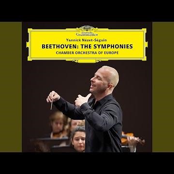 Beethoven: Symphony No. 9 in D Minor, Op. 125 "Choral": IVa. Finale. Presto