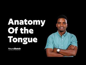 The Tongue | Muscles, Papillae, Nerves