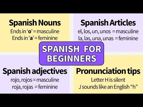 Spanish Basics for Beginners – Everything You Need to Know!