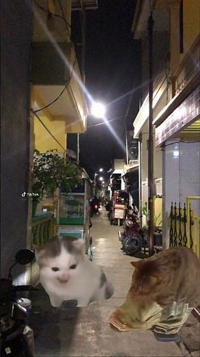 Trailer Cats Fears |#memekucing #fearstofathom |Lihat deskripsi! |
