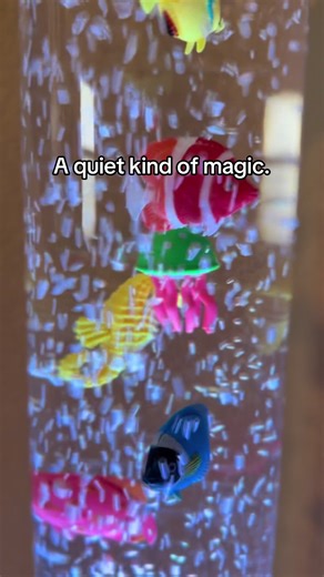 This gentle fish bubble tube light brings calm into any space. Soft bubbling, slow movement, and soothing light create a peaceful moment for kids to pause, breathe, and unwind. Perfect for bedtime, quiet time, or adding a little calm to busy days. Sometimes love doesn’t rush… it flows. 🤍 #sensorytoys #kids #toys #toddlermom #peace