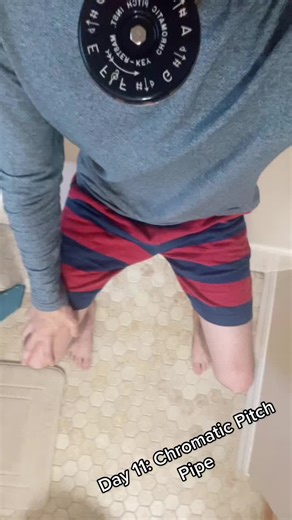 Chromatic Pitch Pipe: The Ultimate Tuning Tool