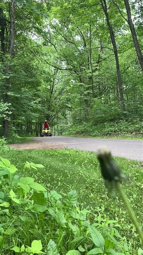 Suzuki LTR 450 Performance Tips and Tricks