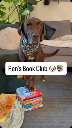 Renegade & Delaine 🐾 Good Dog, Mediocre Mom on Instagram: "More tail-wagging tales to come 🐾📚 Ren & baby Sissy’s Christmas book haul is setting us up for many new storytimes in 2026. Our library is always growing — what should we add next? 😍 #dog #dogsofinstagram #feelgood #storytime #bookclub"