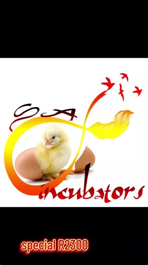 Efficient Vegetable Chopper Grinder for Poultry Farming