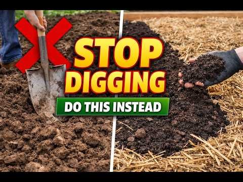 Stop Digging Your Garden Do This Instead