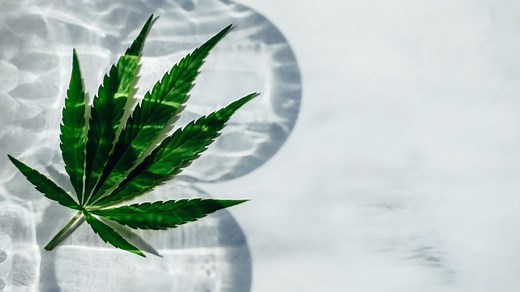 THC : définition, effets, différences avec le CBD