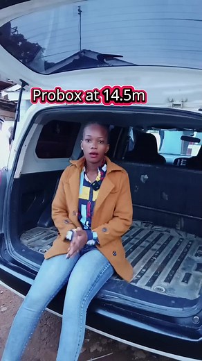 Toyota Probox for Sale at 14.5 Million