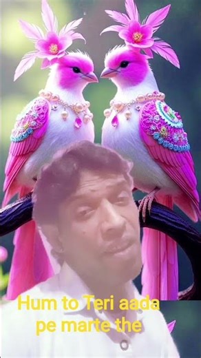 Hum to Teri aada pe marte the #song #bolleywoodsong #hindisong #love#hindi #trending #viralsong 👍🙏🌹