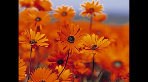 !!!!!!!!!!!!!!!!!!!!!!!!!!!!!!!!!!!!!!!!!!!!!!!!!!!!!!!!!!!!!!!!!!!!!!!!!!!!!!!!!!!!!!!!!!!!!!!!!!!!