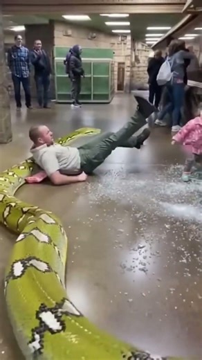 Zoo Mein Ajgar Ka TANDAV 😨 | Glass Toota, Log Bhaage | Shocking CCTV Footage!