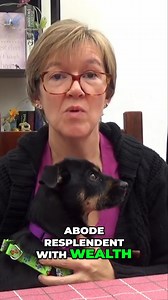 Discover the poignant inscription honouring Frances Brandon (married names: Grey and Stokes), Duchess of Suffolk, a remarkable Tudor figure. See full video at https://youtu.be/aPw924EMt7s #FrancesBrandon #TudorHistory #WestminsterAbbey #HistoricalTributes #Legacy #WomenInHistory #DuchessofSuffolk #VirtueOverWealth #TudorDynasty #Heritage | The Anne Boleyn Files