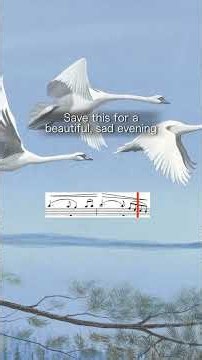 Tchaikovsky - Swan Lake #tchaikovsky #swanlake #swan #ballet #classicalmusic #orchestra #ballerina