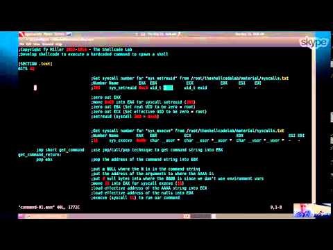 The Shellcode Lab Video Preview