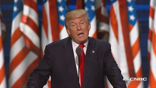 Trump: I alone can fix the system