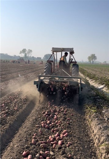 Essential Tips for Field Service Mechanics in Agriculture