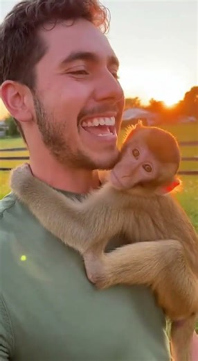 Monkey Gives Human a Surprise Hug! 🐒❤️😂#funny #trending #foryou #comedy #viralshorts #cute #fyp