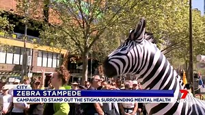 10K views · 48 reactions | A colourful zebra stampede made its way through the city calling for organisations to stamp out the stigma surrounding mental health. www.7NEWS.com.au #7NEWS | 7NEWS Melbourne | Facebook