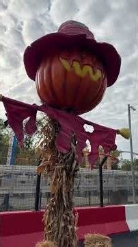 Story Saturday: Cedar point adventure