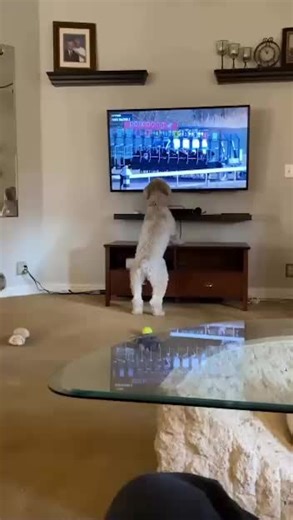 pudi (@bigpudi13)’s videos with original sound - pudi